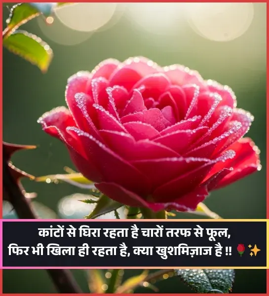 Beautiful flower shayari in hindi Beautiful flower shayari in hindi