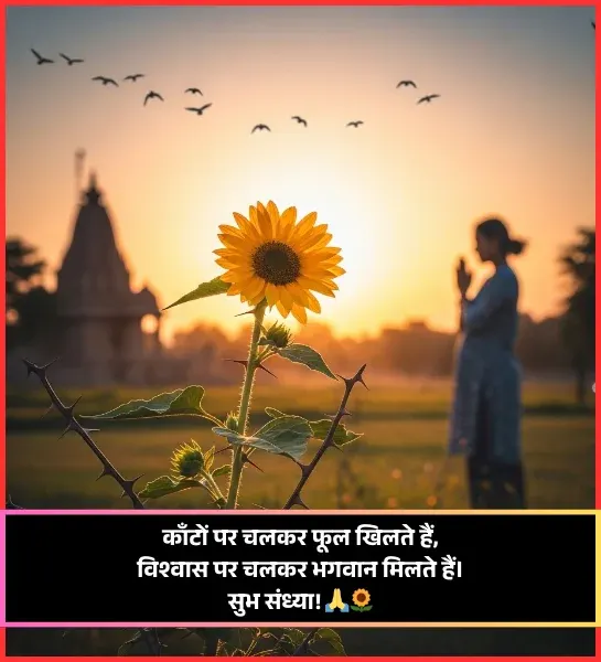 Good Evening Shayari for Friend Good Evening Shayari for Friend